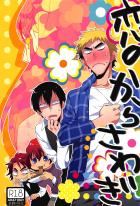 恋のからさわぎ