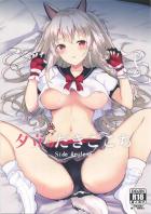 野生かわいい夕立に懐かれた