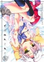 ずぶぬれ娘風邪引くぞ