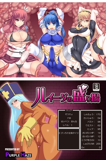 1x1.trans (同人CG集) [130807] [PURPLE HAZE] ルイーダの盛り場 (2CG)