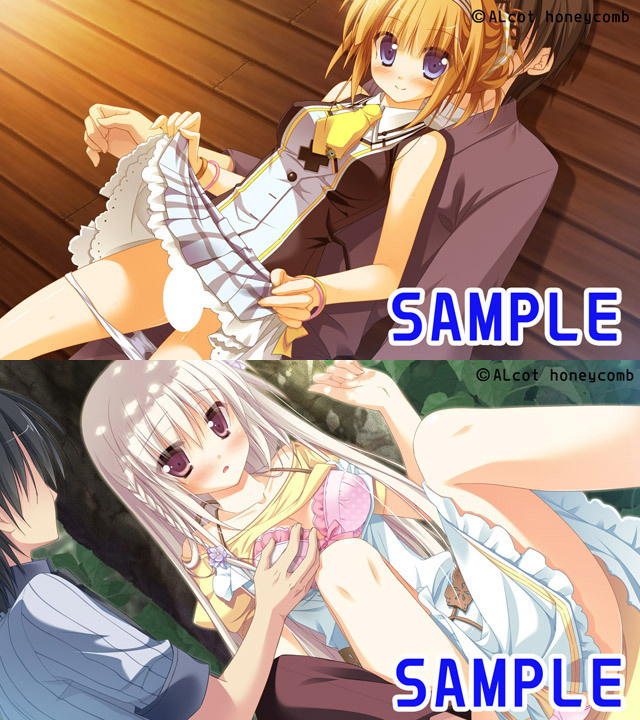 1x1.trans [120629] [ALcot ハニカム] 1／2 summer + 予約特典 + ソフマップ特典