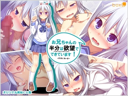 1x1.trans (同人CG集) [130707] [リリックボックス] お兄ちゃんの半分は欲望でできています