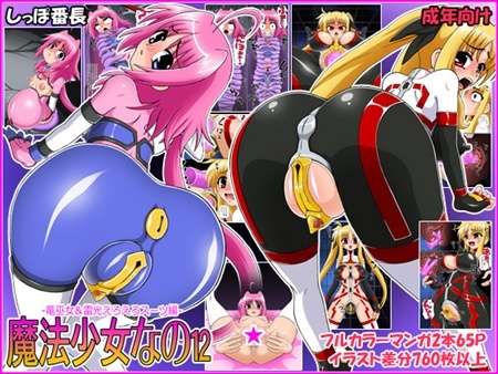 1x1.trans (同人誌) [130605] [しっぽ番長] 魔法少女なの12 竜巫女&雷光えろえろスーツ編 