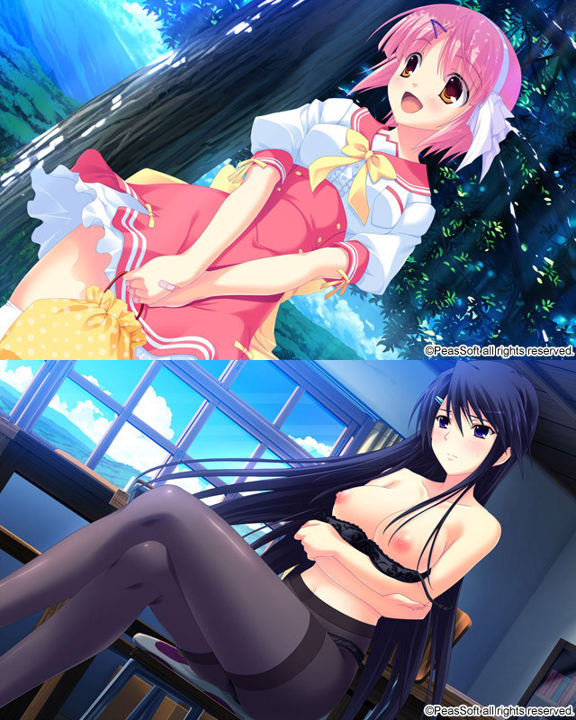 1x1.trans [120427] [PeasSoft] ずっとつくしてあげるの！