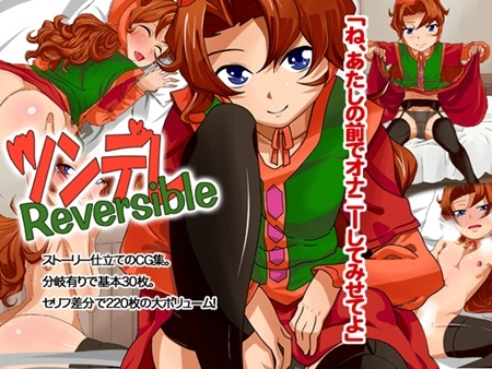 1x1.trans (同人CG集) [120317] [アルビノブレイン] ツンデレReversible