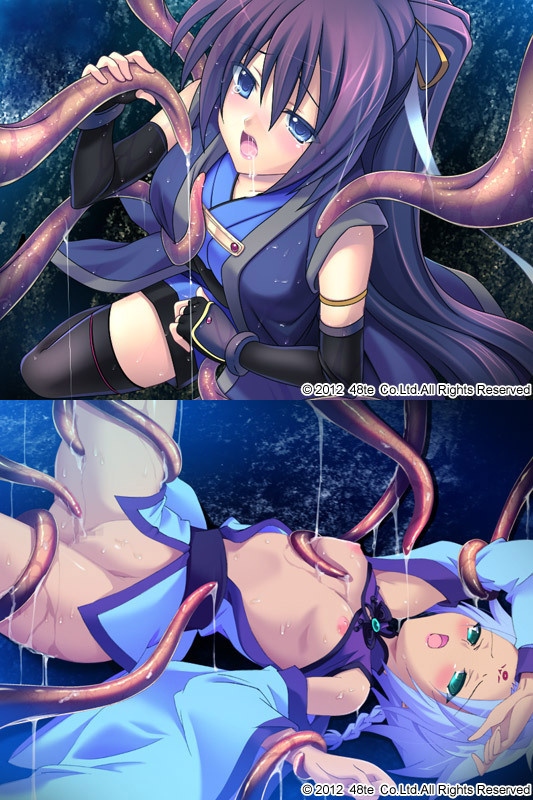 1x1.trans [120629] [48Te] ～淫蟲和伝 怪蠱録～ パッケージ版