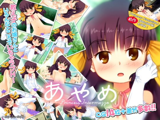 1x1.trans (同人ソフト) [121005] [sol fa soft] あやめ Princess Intermezzo (C82)